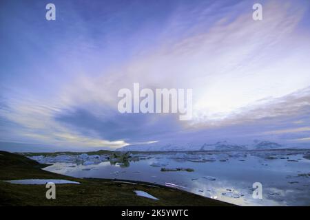 Foto della fauna selvatica e dell'ambiente dell'Islanda Foto Stock