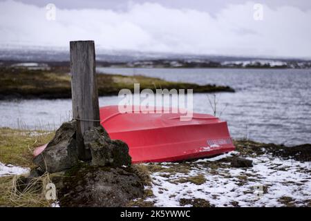 Foto della fauna selvatica e dell'ambiente dell'Islanda Foto Stock