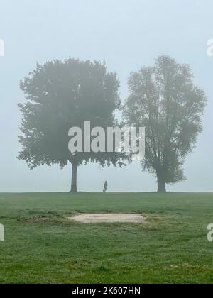 Duesseldorf, Germania. 11th Ott 2022. I prati del Reno a Düsseldorf nella nebbia. Credit: Oliver Auster/dpa/Alamy Live News Foto Stock