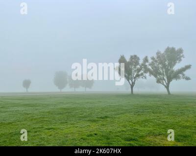 Duesseldorf, Germania. 11th Ott 2022. I prati del Reno a Düsseldorf nella nebbia. Credit: Oliver Auster/dpa/Alamy Live News Foto Stock