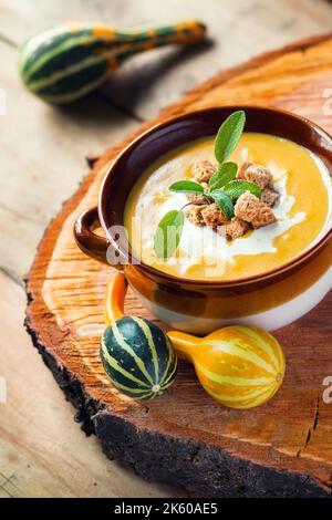 Una zuppa di zucca di stagione decorata con erbe (fuoco selettivo) Foto Stock