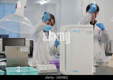 YANTAI, CINA - 5 OTTOBRE 2022 - i ricercatori lavorano su nuovi farmaci in un laboratorio presso lo Shandong International Biotechnology Park di Yantai, Shandong P. Foto Stock