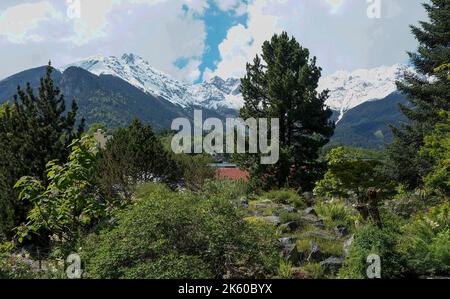 Giardini botanici di Innsbruck Foto Stock