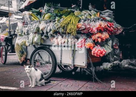 Gatto seduto da un carrello di un venditore di verdure a China Town, Bangkok, Thailandia. Foto Stock