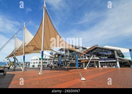 La TSB Bank Arena è un'arena al coperto con vele a forma di vele progettate per coprire Queens Wharf sul lungomare di Wellington, sull'isola nord di NE Foto Stock