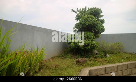 un giardino sul tetto per rilassarsi Foto Stock