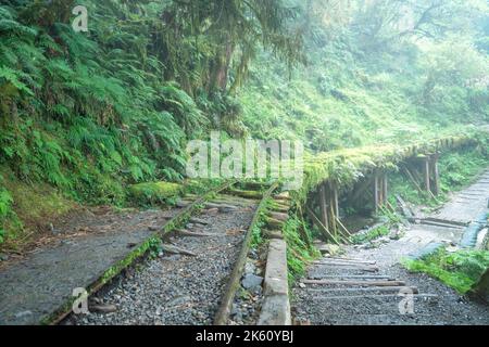Bella Jianqing (Jiancing) percorso storico, la ferrovia forestale di Taiwan Taipingshan National Forest Recreation Area. Foto Stock
