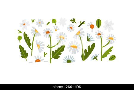 Disegno a mano vettoriale astratto graphic clipart collezione illustrazioni insieme di composizione con natura astratta forme di fiori margherite e foglie fiorite Illustrazione Vettoriale