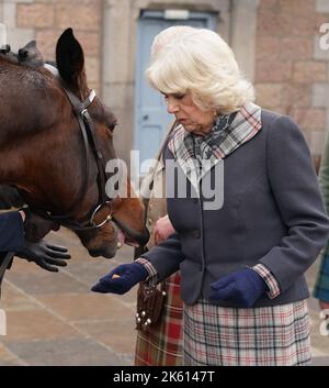 La regina Consort alimenta le carote ai cavalli mentre frequenta un ricevimento per ringraziare la comunità di Aberdeenshire per la loro organizzazione e sostegno dopo la morte della regina Elisabetta II a Station Square, il Victoria & Albert Halls, Ballater. Data immagine: Martedì 11 ottobre 2022. Foto Stock