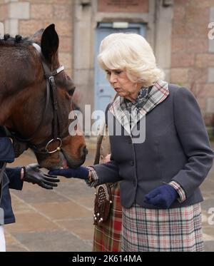 La regina Consort alimenta le carote ai cavalli mentre frequenta un ricevimento per ringraziare la comunità di Aberdeenshire per la loro organizzazione e sostegno dopo la morte della regina Elisabetta II a Station Square, il Victoria & Albert Halls, Ballater. Data immagine: Martedì 11 ottobre 2022. Foto Stock