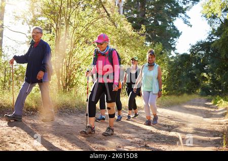 Escursioni, passeggiate e donne anziane in una foresta o boschi su un sentiero insieme. Gruppo di donne anziane che fanno l'esercitazione, l'esercitazione e la idoneità nella pensione Foto Stock