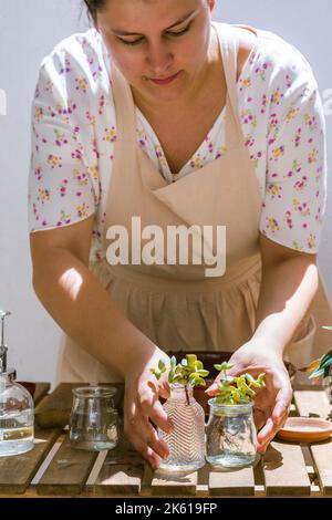 Raccolto concentrato adulto giardiniere femminile in vestito e grembiule disposizione vasi di vetro con dolci germogli di pianta su tavola di legno il giorno di sole Foto Stock