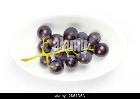 Vitigni comuni, in una ciotola bianca. Vitigni appena raccolti di uve selvatiche mature, Vitis vinifera, con piccole uve viola scuro. Foto Stock