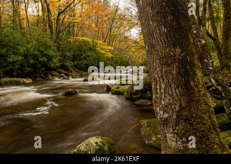 Lunga esposizione del fiume Little River nel Parco Nazionale delle Great Smoky Mountains Foto Stock