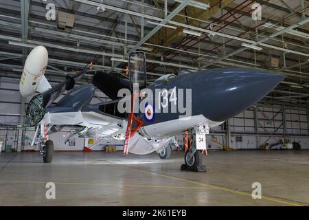 De Havilland Sea Vixen FAW 2, XP924, G-CVIX, Navy Wings, NAS Yeovilton, Somerset. Foto Stock