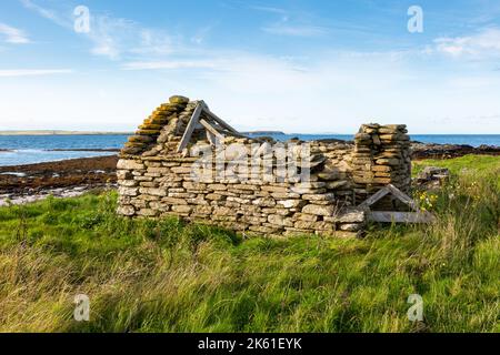 Ruined croft o casa colonica, Isole Orcadi, Regno Unito 2022 Foto Stock