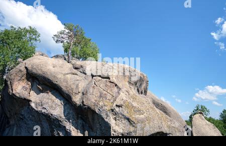 Enormi formazioni rocciose di massi alte in montagna con alberi in crescita in estate giorno di sole Foto Stock