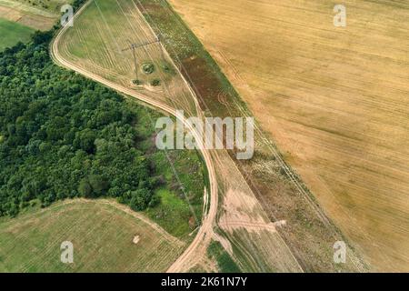 Vista aerea del paesaggio di campi agricoli coltivati in giallo con grano maturo e boschi verdi in luminoso giorno d'estate Foto Stock