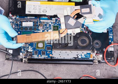 Mani che fissano la scheda madre del pc o del notebook primo piano in servizio. Servizio di riparazione laptop. Foto Stock