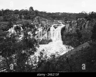 Una scala di grigi di una cascata e una scogliera rocciosa con una foresta sullo sfondo. Foto Stock