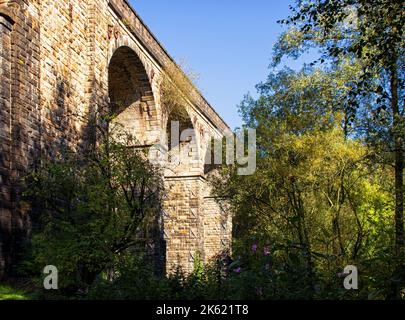 Fogliame vicino agli archi del viadotto che attraversa il canale stretto di Huddersfield, a Uppermill, Oldham, Foto Stock