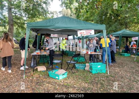 Blackmoor Apple Tasting Day, un evento autunnale annuale nel villaggio di Hampshire, Inghilterra, Regno Unito, nel mese di ottobre Foto Stock