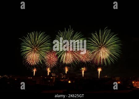 fuochi d'artificio verdi e gialli in un cielo notturno Foto Stock