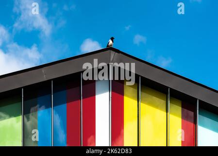 DILBEEK, Belgio - 05 08 2018 - Fascade colorata della scuola musicale locale Foto Stock