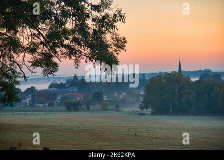 Mattina nebbia vicino Plailly nella Val d'Oise in Francia Foto Stock