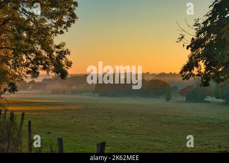 Mattina nebbia vicino Plailly nella Val d'Oise in Francia Foto Stock