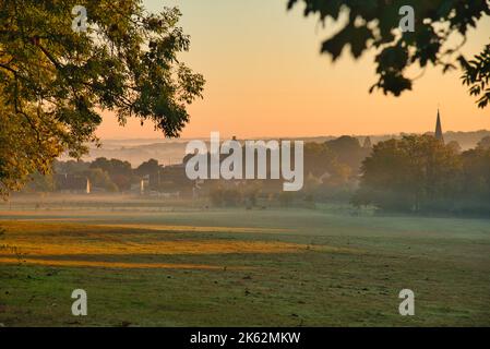 Mattina nebbia vicino Plailly nella Val d'Oise in Francia Foto Stock