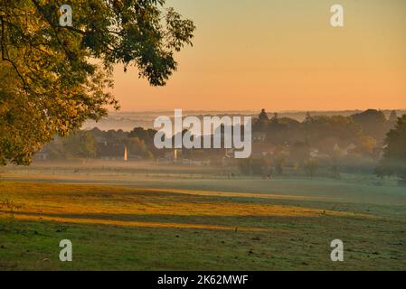 Mattina nebbia vicino Plailly nella Val d'Oise in Francia Foto Stock