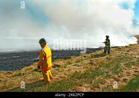 Vigili del fuoco che combattono un piccolo incendio a pennello nella zona di Atlanta con acqua e attrezzature di sicurezza Foto Stock