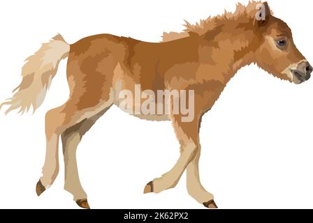 immagine vettoriale di colore marrone chiaro su sfondo bianco Illustrazione Vettoriale