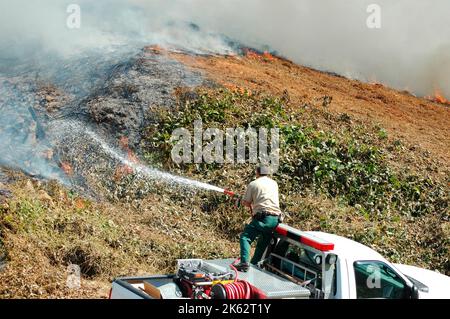 Vigili del fuoco che combattono un piccolo incendio a pennello nella zona di Atlanta con acqua e attrezzature di sicurezza Foto Stock