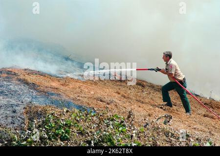 Vigili del fuoco che combattono un piccolo incendio a pennello nella zona di Atlanta con acqua e attrezzature di sicurezza Foto Stock