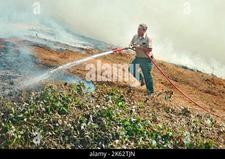 Vigili del fuoco che combattono un piccolo incendio a pennello nella zona di Atlanta con acqua e attrezzature di sicurezza Foto Stock