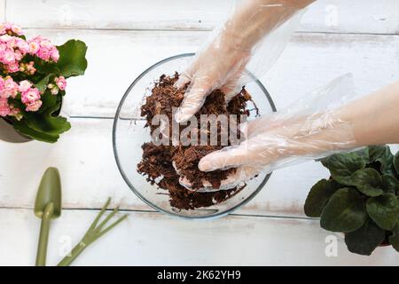 Le mani con guanti femminili stanno rompendo un substrato di cocco pressato gonfio dall'acqua. Giacitura piatta. Il concetto di giardinaggio organico domestico. Foto Stock