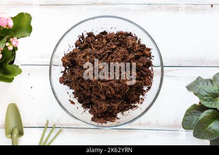 Substrato di cocco bagnato in una ciotola di vetro su uno sfondo bianco di legno, con piante e piccoli utensili da giardino. Giacitura piatta. Concetto di giardinaggio eco domestico. Foto Stock