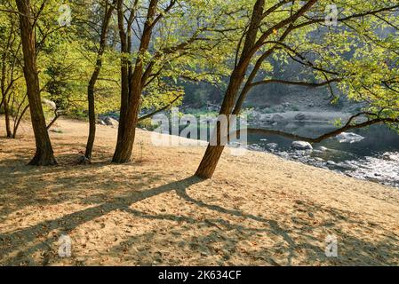 Bromley Rock Provincial Park, fiume Similkameen, British Columbia, Canada Foto Stock