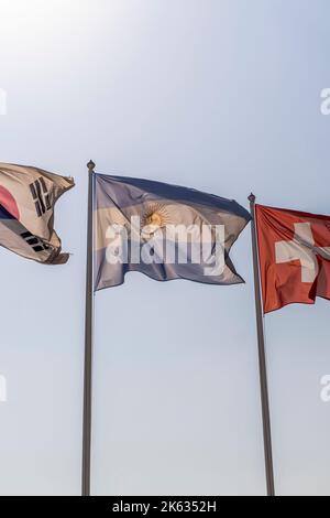 La bandiera nazionale della Repubblica argentina è una tribanda, composta da tre bande orizzontali ugualmente larghe di colore azzurro e bianco. Foto Stock