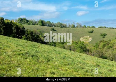 Vista verso Beacon Hill sulla South Downs Way nell'Hampshire, Inghilterra, Regno Unito Foto Stock