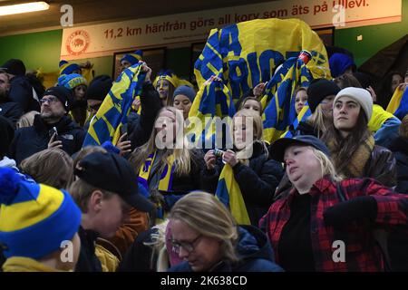 Goteborg, Svezia. 11th Ott 2022. Gamla Ullevi, Gothenburg, Svezia, ottobre 11th 2022: I fan svedesi festeggiano dopo il gioco amichevole del 11th 2022 ottobre tra la Svezia e la Francia a Gamla Ullevi a Gothenburg, Svezia (Peter Sonander/SPP) Credit: SPP Sport Press Photo. /Alamy Live News Foto Stock