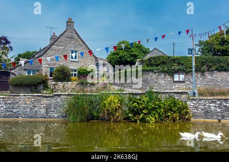 Anatre sul laghetto villaggio in Worth Matravers sull'isola di Purbeck, Dorset, Inghilterra, Regno Unito Foto Stock