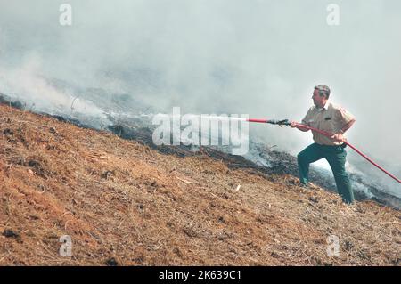 Vigili del fuoco che combattono un piccolo incendio a pennello nella zona di Atlanta con acqua e attrezzature di sicurezza Foto Stock