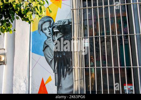 Murale di un corvo che attacca una donna, Guadalajara, Messico Foto Stock