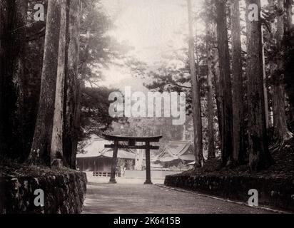 Vintage 19th ° secolo fotografia: Tempio e torii a Nikko, Giappone Foto Stock