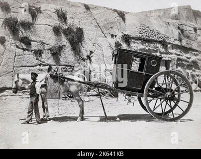 Vintage 19th ° secolo fotografia: Una carrozza trainata da cavalli a Malta, una calesse Foto Stock