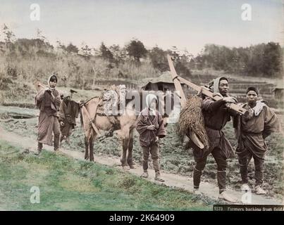 19 ° secolo vintage fotografia - agricoltori di ritorno dai campi, con strumenti, e un cavallo, Giappone, circa 1880. Foto Stock