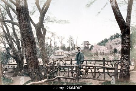 C. 1880 Giappone - la fioritura dei ciliegi, Uyeno Park a Tokyo Foto Stock